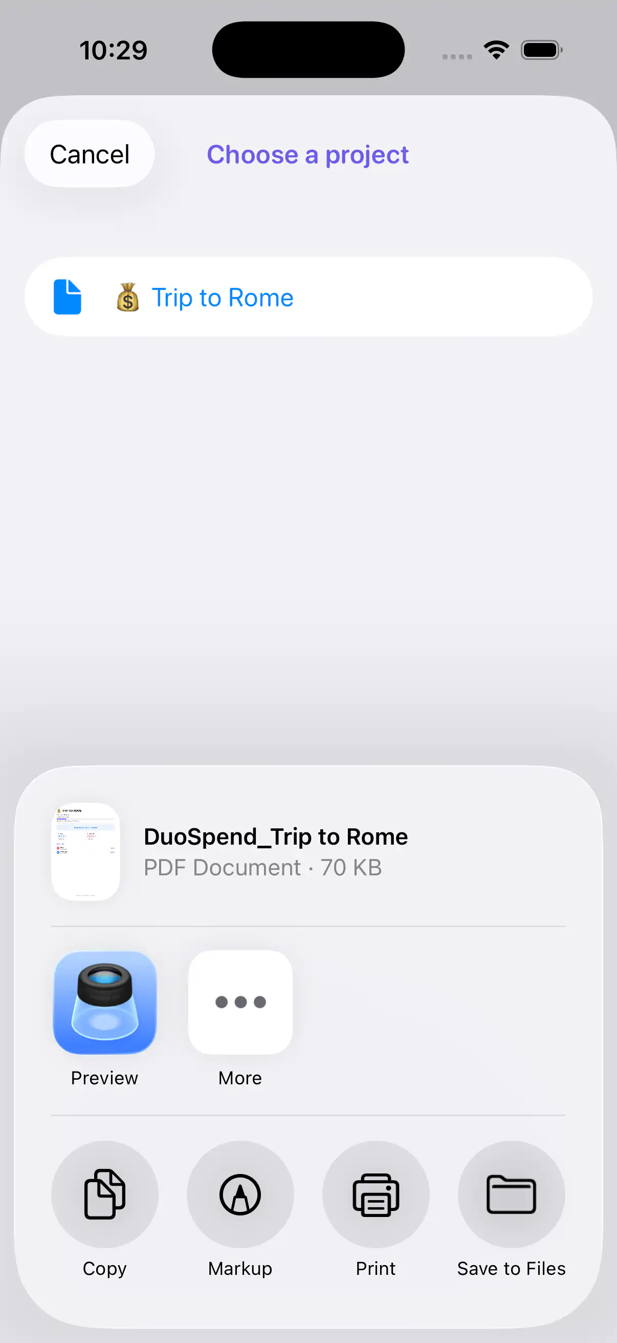 DuoSpend PDF export sheet for sharing a project recap
